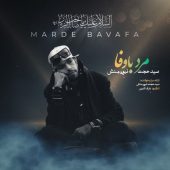 دانلود آهنگ سید حجت نبوی منش مرد با وفا